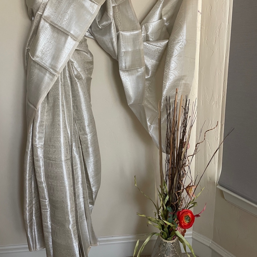 Elegant Silver and beige saree